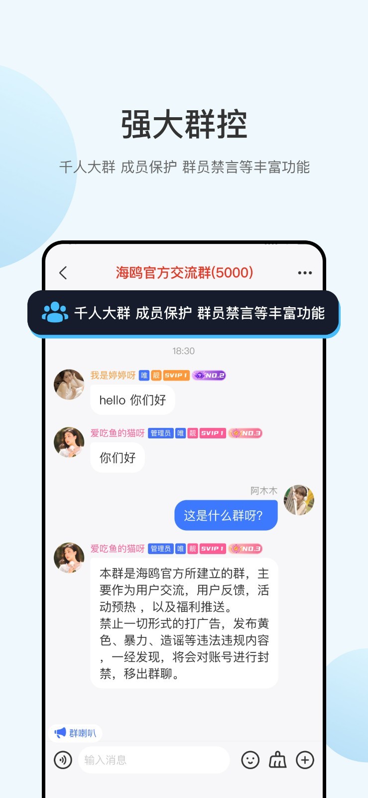 海鸥截图3