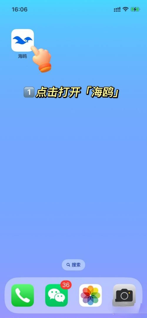 海鸥