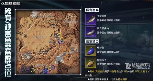星球重启稀有鱼群点位一览