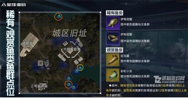 星球重启稀有鱼群点位一览