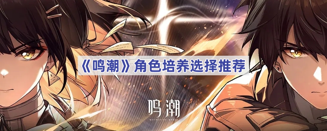 《鸣潮》角色培养选择推荐