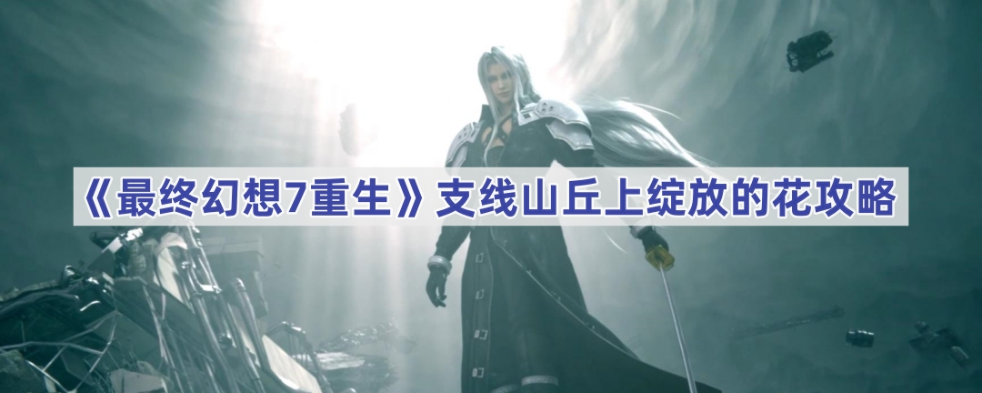 《最终幻想7重生》支线山丘上绽放的花攻略