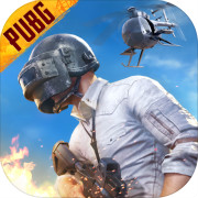 pubg雾会散轻体直装