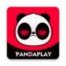 panda潮玩