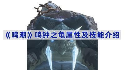 《鸣潮》鸣钟之龟属性及技能介绍