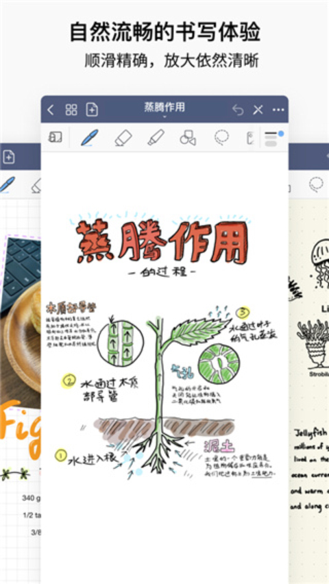 GoodNotes免费版截图3