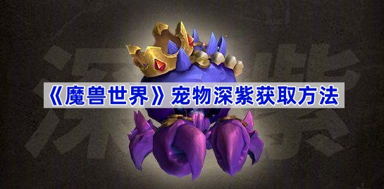 《魔兽世界》宠物深紫获取方法