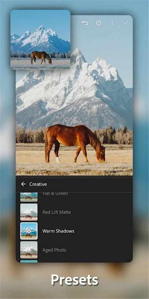 lightroom手机版截图2