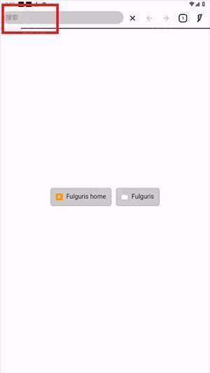 Fulguris浏览器APP下载最新版-Fulguris伪谷歌浏览器APP下载安装v1.9.30