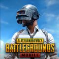 pubg兼容版