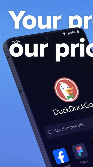 duckduckgo浏览器截图4