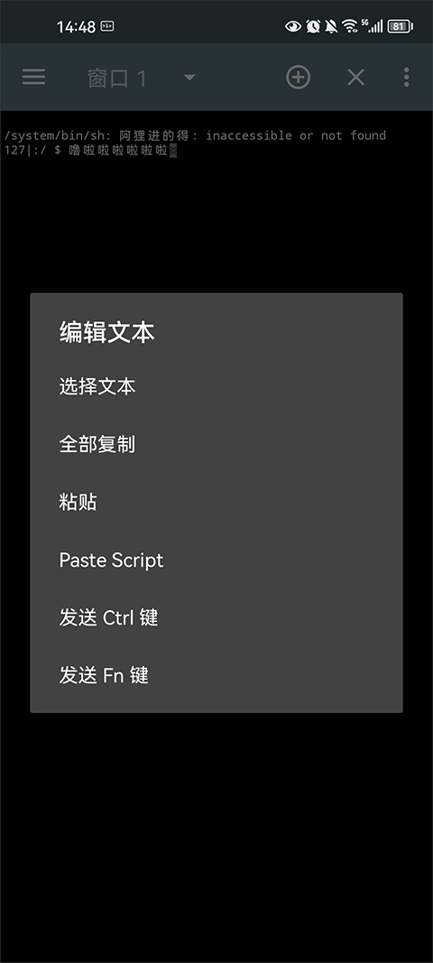 终端模拟器截图3