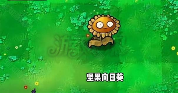 植物大战僵尸杂交版3.1