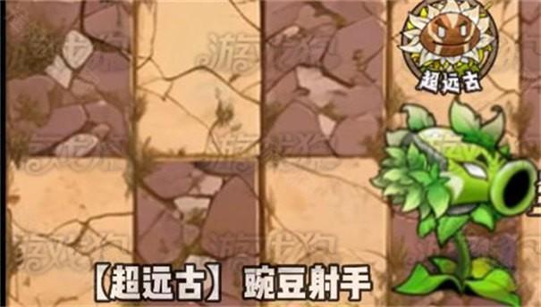 植物大战僵尸神奇植物版