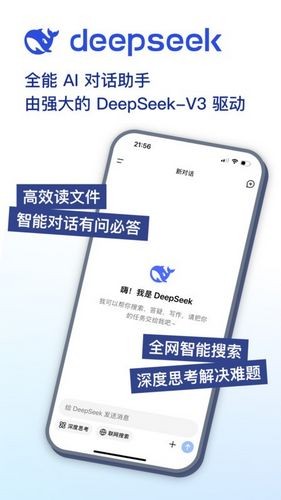 deepseek满血版截图3