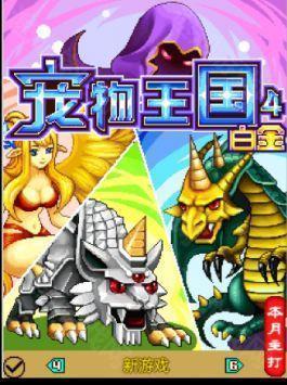 宠物王国4白金