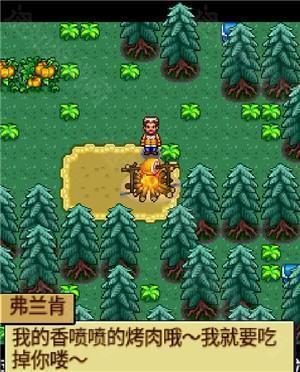 宠物王国4白金