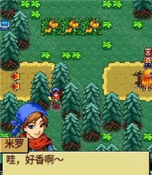 宠物王国4白金