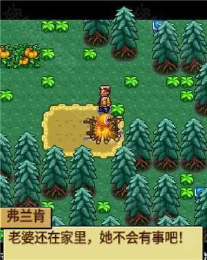 宠物王国4白金