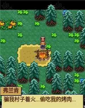 宠物王国4白金
