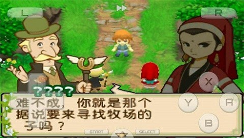 牧场物语双子村汉化版截图2