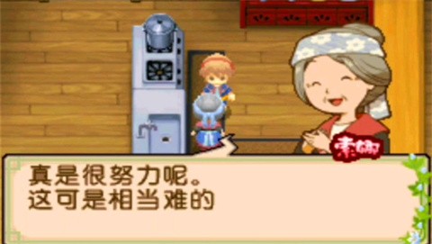 牧场物语双子村汉化版截图4