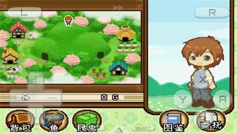 牧场物语双子村汉化版