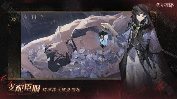 代号砰砰
