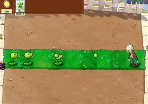 植物大战僵尸三消版