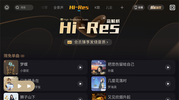 酷狗音乐概念版车机版截图4