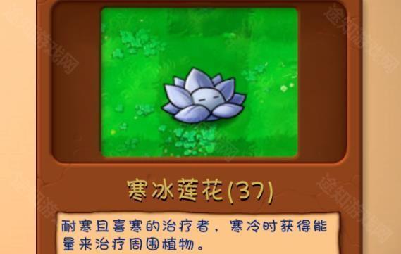 植物大战僵尸融合版雪原版本