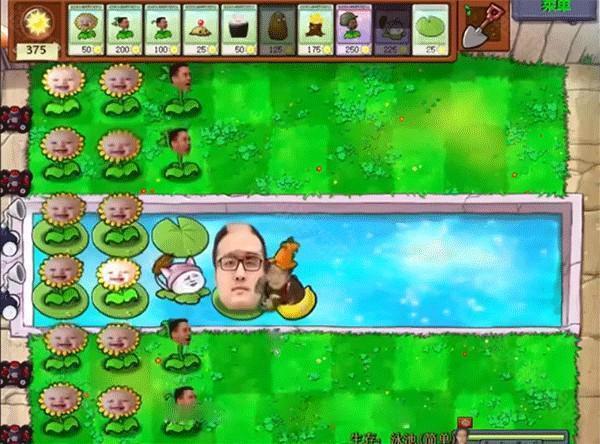 植物大战僵尸鬼畜版6