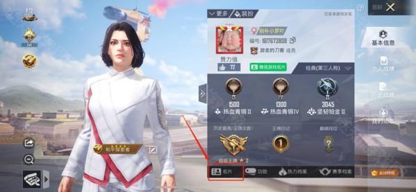 和平精英国际版图片8