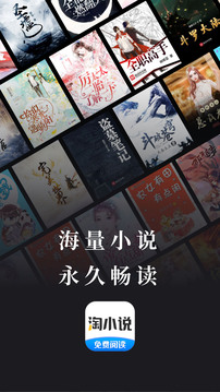 淘小说阅读赚钱