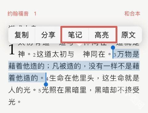 微读圣经