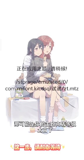 小米主题安装器国际版截图3