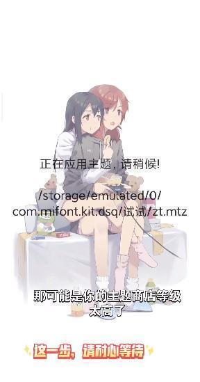 小米主题安装器国际版