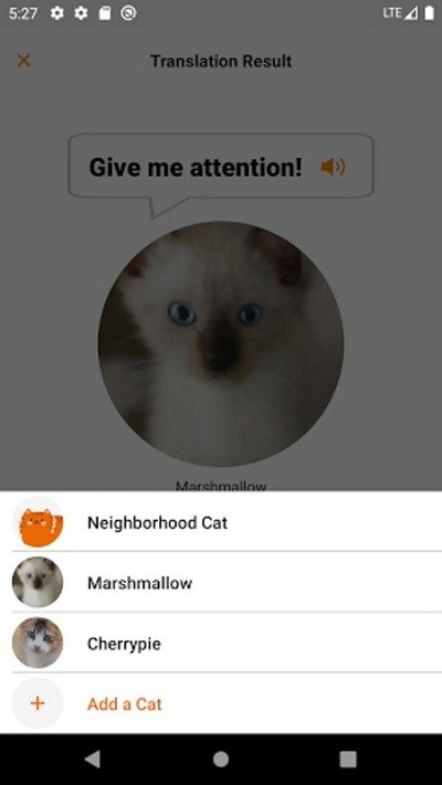 Meowtalk喵说