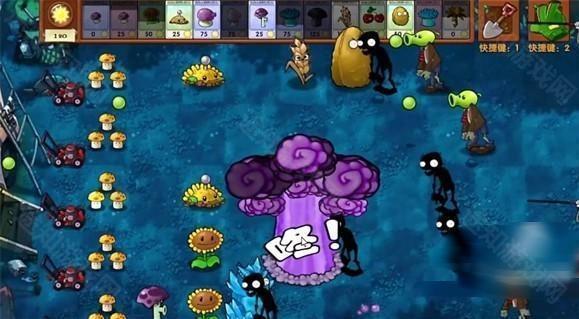 植物大战僵尸二创版(PlantsVsZombiesRH-Mod)