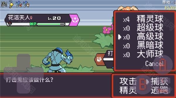 宝可梦肉鸽
