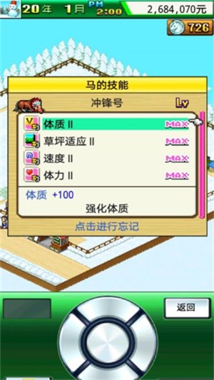 顶级跑马牧场汉化版截图3