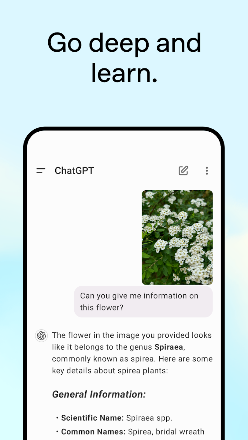 chat4.0国内版截图5