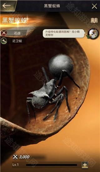 小小蚁国新手攻略8