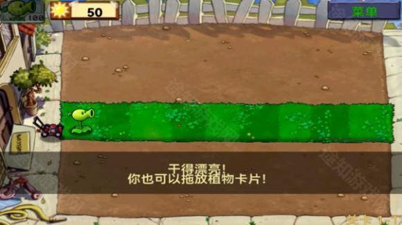 植物大战僵尸1经典版