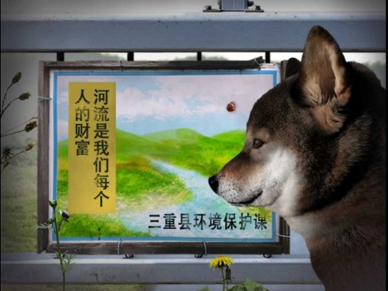 翌日波奇狗的历险记