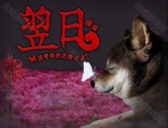 翌日波奇狗的历险记中文版
