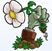 植物大战僵尸杂交版3.7.6版本