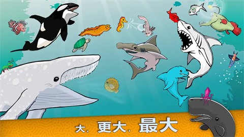 皇家鱼截图3