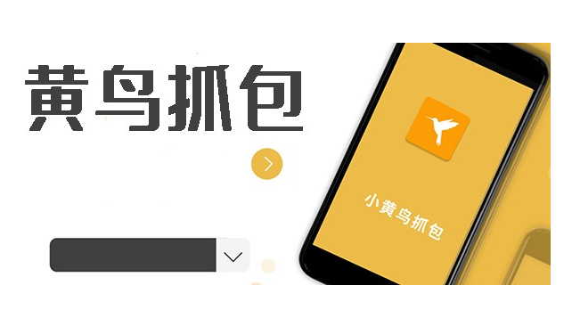 黄鸟抓包软件版本合集