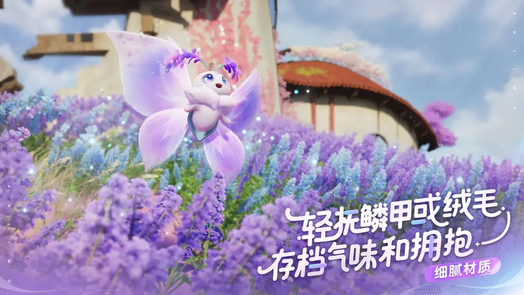 伊莫